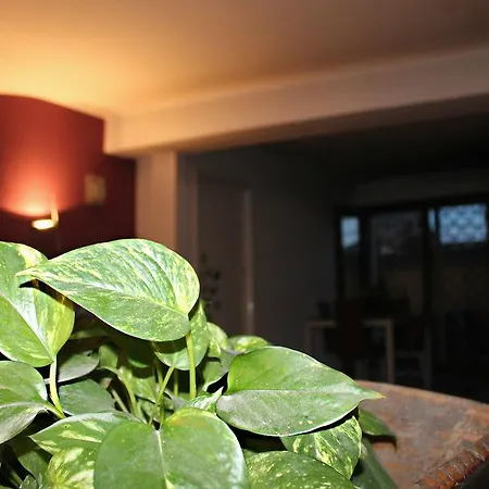 A Casa Di Elena * 카타니아